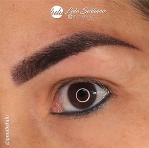 Eyebrow Tattoo result by Miami Kiss Lip Blush by Lulu Siciliano in Miami Beach, FL