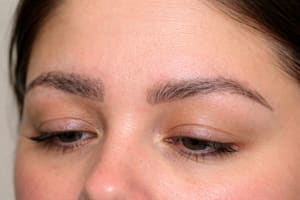 Eyebrow Tattoo result by Micro Brow & Lash in Beverly Hills, CA