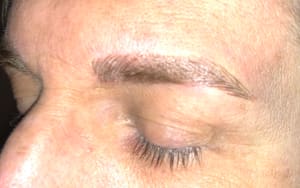 Eyebrow Tattoo result by Microblading and permanent cosmetics by Julieta Fife in Waukesha, WI