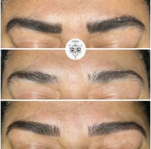 Eyebrow Tattoo result by Microblading by Lesley Lee Jones in Kyle, TX