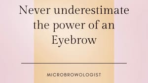 Eyebrow Tattoo result by Microbrowology Beauty Lab.... Microblading Powder Ombré Brows in Fort Lauderdale, FL