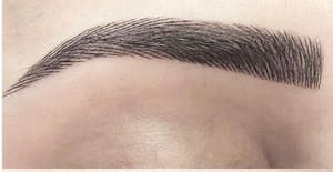 Eyebrow Tattoo result by Moda Microblading in Woodland Hills, CA