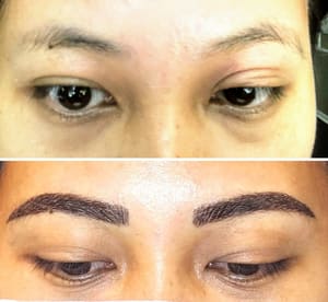 Eyebrow Tattoo result by Ms Kay Microblading in Livonia, MI