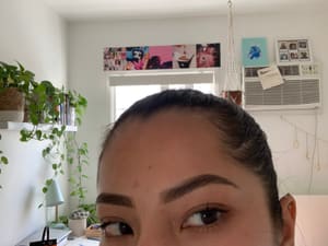 Eyebrow Tattoo result by Naciente Collective in Burbank, CA