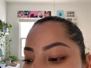 Eyebrow Tattoo result by Naciente Collective in Burbank, CA