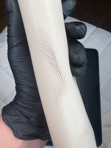 Eyebrow Tattoo result by Nanobrowart in Oakbrook Terrace, IL