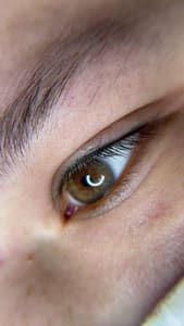 Eyebrow Tattoo result by Natalie Cruz Permanent Cosmetics Co. in Lancaster, PA