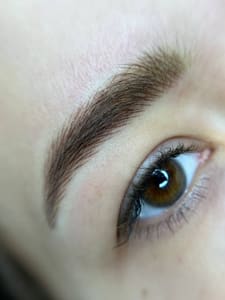 Eyebrow Tattoo result by NE Pigments Permanent Make-up in Charlotte, NC