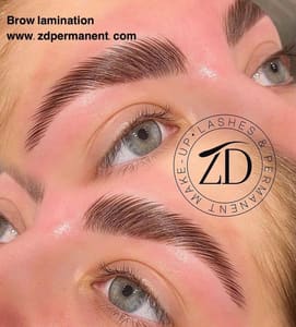 Eyebrow Tattoo result by NEW AGE Permanent Make-up in Oak Brook, IL
