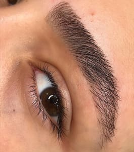 Eyebrow Tattoo result by Newark PMU by Cintia Ferreira in Tampa, FL