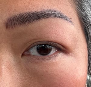 Eyebrow Tattoo result by NhiBrows Permanent Makeup in Fairfax, VA