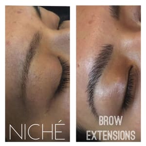 Eyebrow Tattoo result by Niché Skin Studio Ink in Lewisville, TX