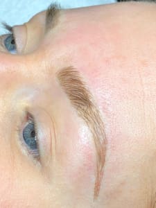 Eyebrow Tattoo result by Niki Metz in Camarillo, CA