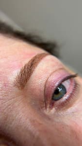 Eyebrow Tattoo result by Niu Professional in Dyer, IN