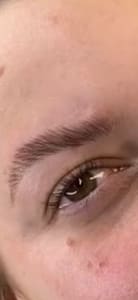 Eyebrow Tattoo result by Nova Dama LLC in Berkeley Heights, NJ