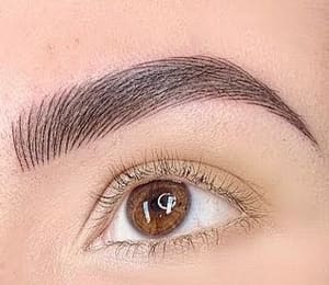 Eyebrow Tattoo result by Oceans Beauty in Deltona, FL