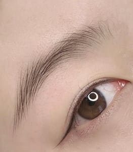 Eyebrow Tattoo result by One Beauty Nano Brows tattoo/ Y Beauty Salon in Arcadia, CA