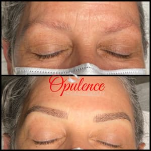 Eyebrow Tattoo result by Opulence Brows & Beauty in Charlotte, NC