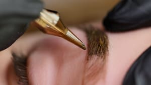 Eyebrow Tattoo result by Patrica Tapia Beauty Spa in Watertown, MA