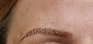 Eyebrow Tattoo result by Perfect Arch Eyebrow Microblading in Royal Oak, MI