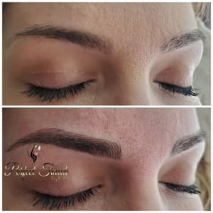 Eyebrow Tattoo result by Perfect Touch By Rose in Belleview, FL