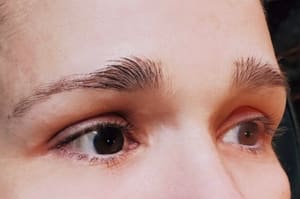 Eyebrow Tattoo result by Perma Cosmetics in Kennebunk, ME