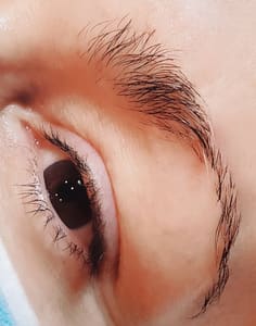 Eyebrow Tattoo result by Perma Cosmetics in Kennebunk, ME