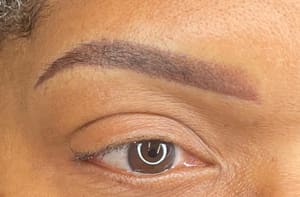 Eyebrow Tattoo result by PermaBeauty by GG in West Bloomfield Township, MI