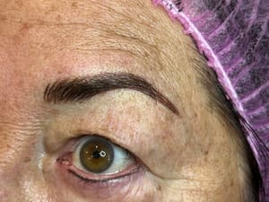 Eyebrow Tattoo result by Permanent Cosmetics by Amy / Skin City in Somers Point, NJ