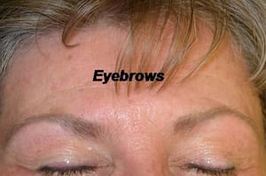 Eyebrow Tattoo result by Permanent Cosmetics by Tina Pinz in Boise, ID