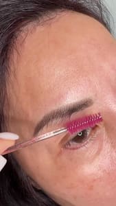 Eyebrow Tattoo result by Permanent Make Up By Diana Dimant in Burlingame, CA