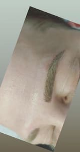 Eyebrow Tattoo result by Permanent Makeup and Microblading by Design in Los Angeles, CA