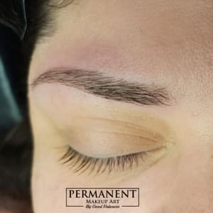 Eyebrow Tattoo result by Permanent makeup art in Waukesha, WI