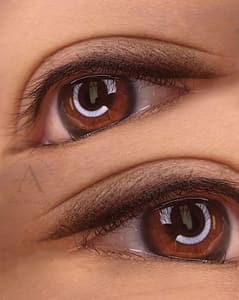Eyebrow Tattoo result by Permanent Makeup By Allie in Los Alamitos, CA