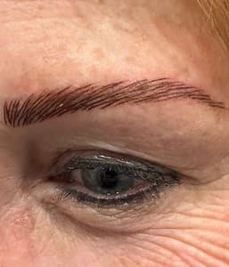 Eyebrow Tattoo result by Permanent Makeup by Debi in Kissimmee, FL