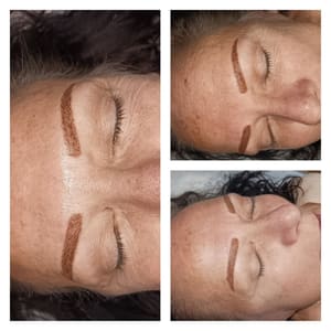 Eyebrow Tattoo result by Permanent Makeup By Dr. Daniela in St Petersburg, FL