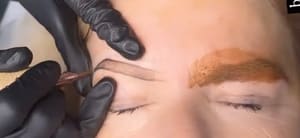 Eyebrow Tattoo result by Permanent Makeup By Judy in Joliet, IL
