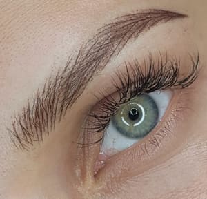 Eyebrow Tattoo result by Permanent makeup by Karina in El Cajon, CA