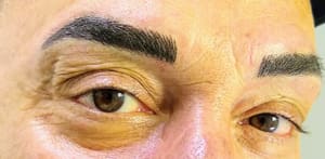 Eyebrow Tattoo result by Permanent Makeup by Pili-Microblading in Wesley Chapel, FL