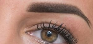 Eyebrow Tattoo result by Permanent Makeup by Rozita in Folsom, CA