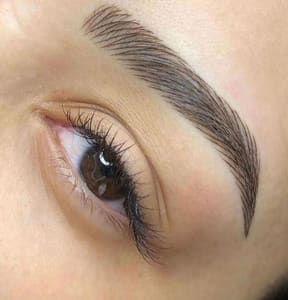 Eyebrow Tattoo result by Permanent Makeup by Rozita in Folsom, CA