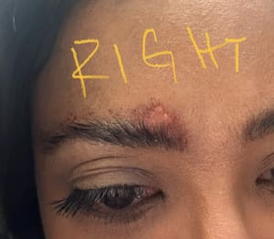 Eyebrow Tattoo result by Posh and Pretty Brow Bar in Houston, TX