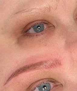 Eyebrow Tattoo result by PrestigiousButterflies in Rocky Mount, NC