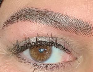 Eyebrow Tattoo result by Pretty Woman Beautique Spa in Melrose, MA