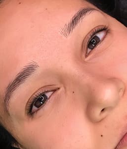 Eyebrow Tattoo result by Proud Brow in American Canyon, CA