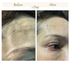 Eyebrow Tattoo result by Pure Eyebrows in Houston, TX