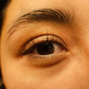 Eyebrow Tattoo result by Raining Ink, Studio in Spokane, WA