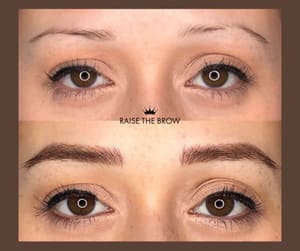 Eyebrow Tattoo result by Raise the Brow in Livonia, MI