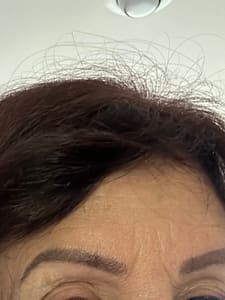 Eyebrow Tattoo result by Red Rose Studios in Campbell Hall, NY