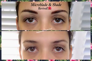 Eyebrow Tattoo result by Revive the Eyes, LLC in Bradenton, FL